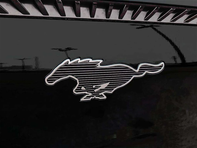 2026 Ford Mustang Mach-E Select, čierna, 30 km, dovoz Kanada — foto 9 z 18