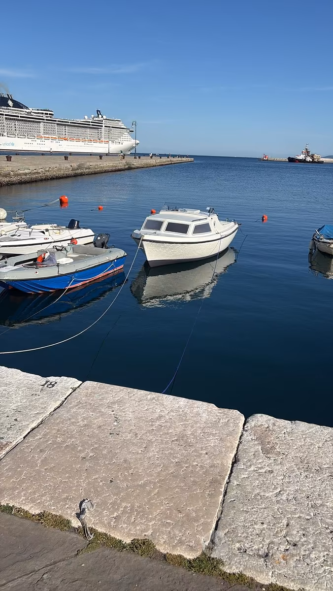 Pilotina, dovoz Skladom v EÚ — foto 1