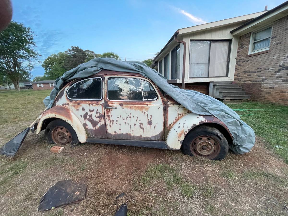 Volkswagen, dovoz USA — foto 1