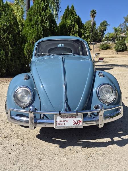 Volkswagen, dovoz USA — foto 1