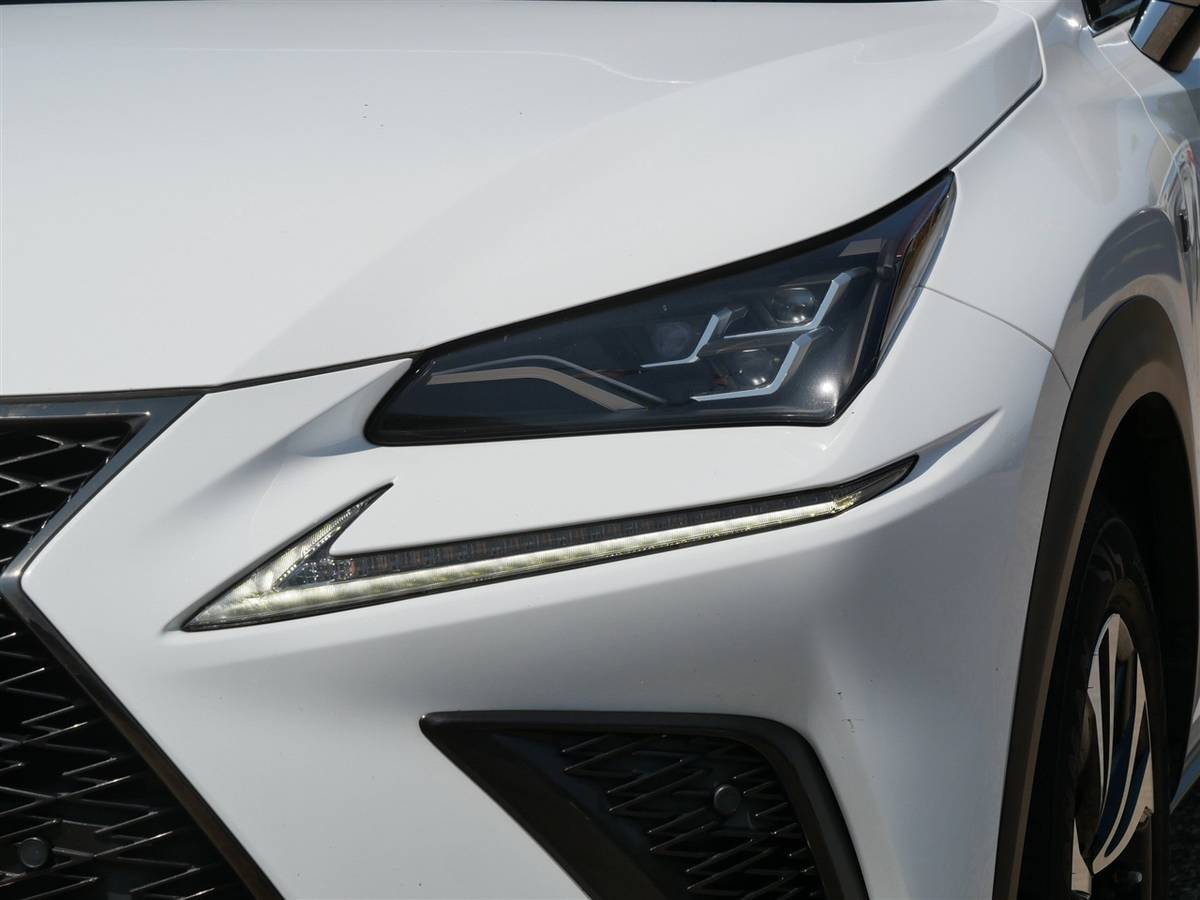 2019 Lexus, dovoz USA — foto 10 z 12