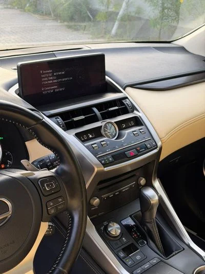 2021 Lexus NX300, sivá, 50 000 km, dovoz SAE — foto 16 z 16