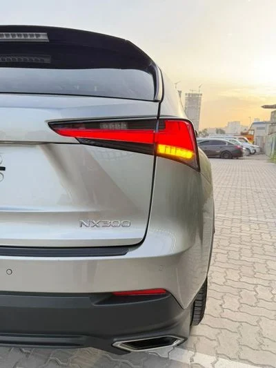 2021 Lexus NX300, sivá, 50 000 km, dovoz SAE — foto 8 z 16