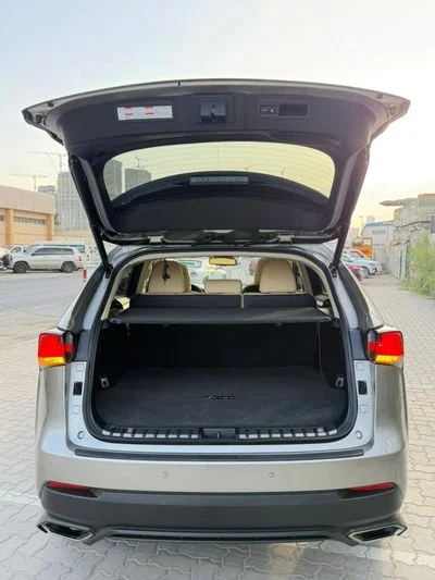 2021 Lexus NX300, sivá, 50 000 km, dovoz SAE — foto 9 z 16
