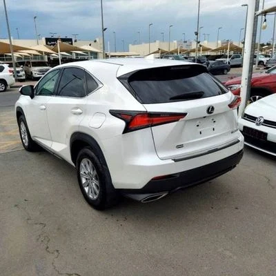 2021 Lexus NX300 PLATINUM, biela, 16 500 km, dovoz SAE — foto 4 z 10