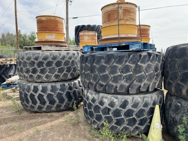Volvo 29.5XR25, dovoz Kanada — foto 2 z 5