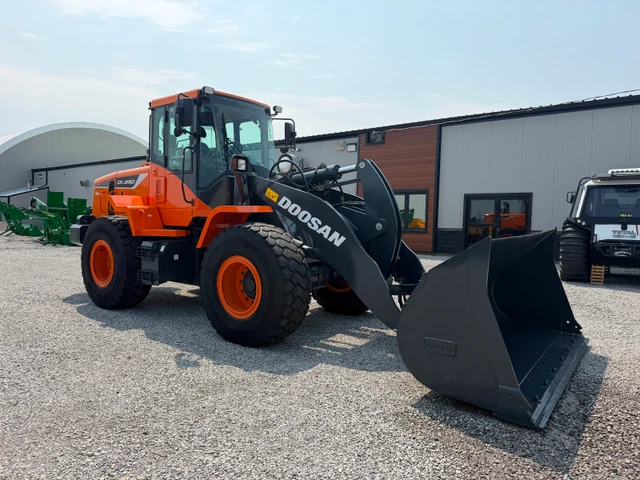 2020 Doosan DL250-5, dovoz Kanada — foto 4 z 5