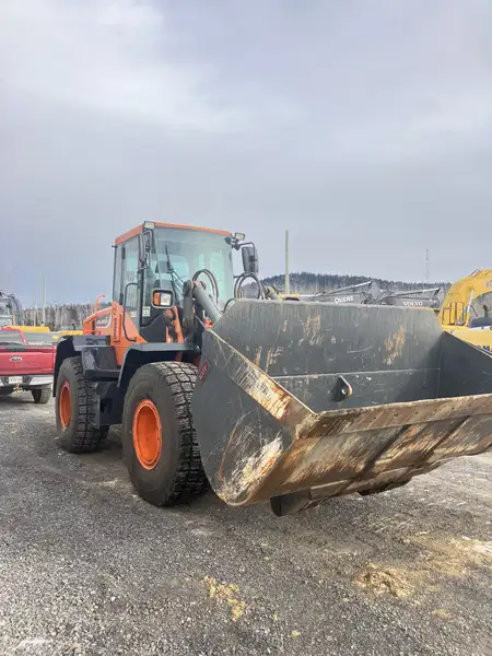 2018 Doosan DL250, dovoz Kanada — foto 3 z 6