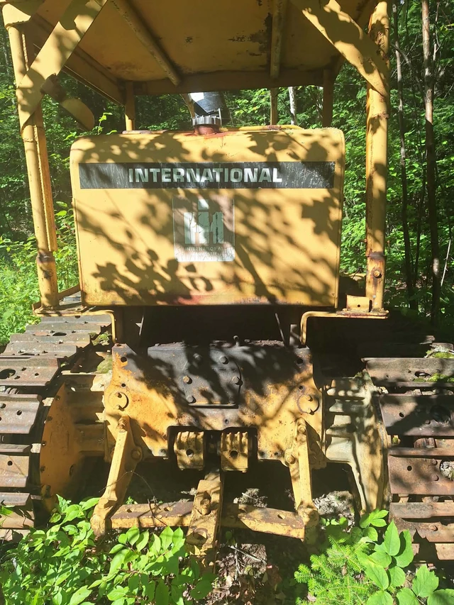 INTERNATIONAL, dovoz Kanada — foto 3 z 5
