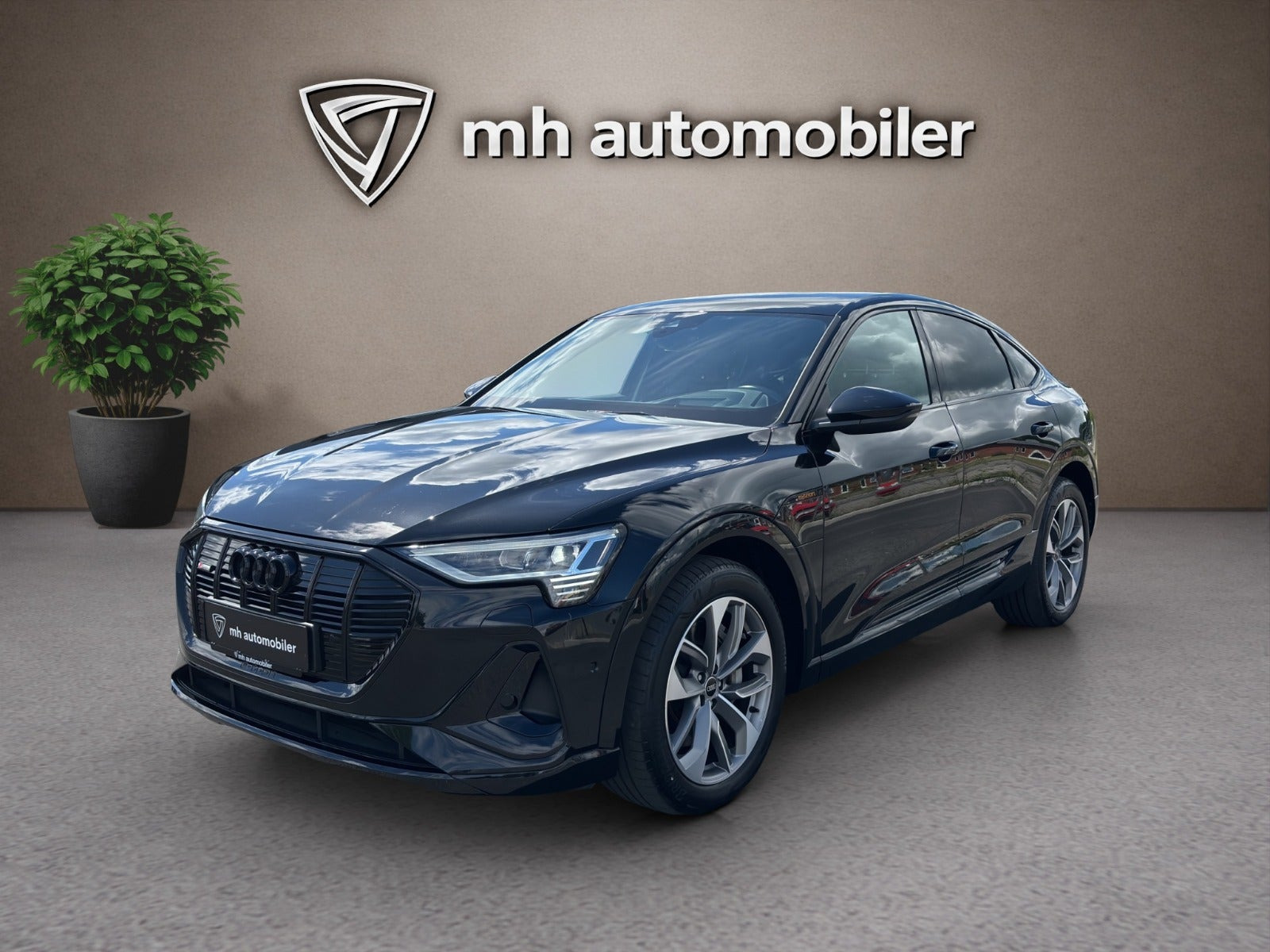 Audi e-tron, Dánsko — foto 1