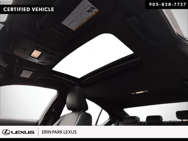 2023 Lexus IS 300, sivá, 24 646 km, dovoz Kanada — foto 16 z 18
