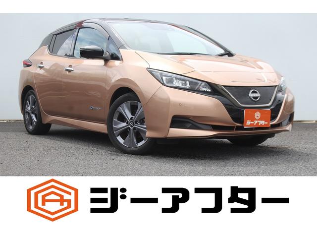 Nissan Leaf, dovoz Japonsko — foto 1