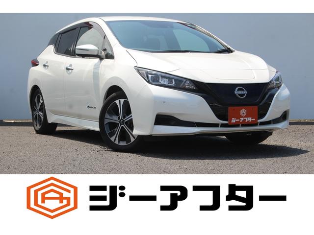 Nissan Leaf, dovoz Japonsko — foto 1