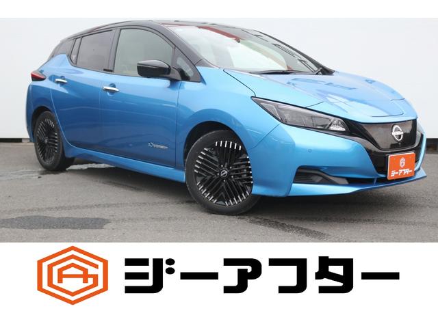 Nissan Leaf, dovoz Japonsko — foto 1 Nissan Leaf, dovoz Japonsko — foto 1
