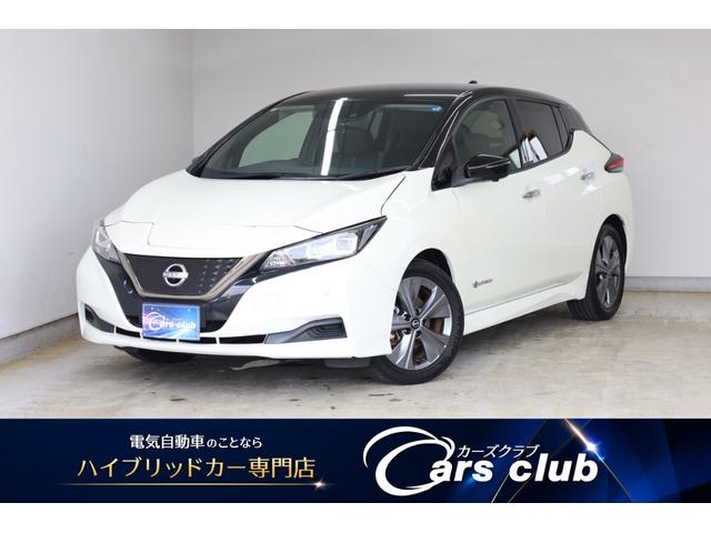 Nissan Leaf, dovoz Japonsko — foto 1