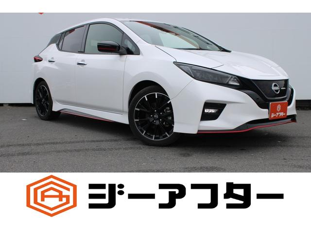 Nissan Leaf, dovoz Japonsko — foto 1 Nissan Leaf, dovoz Japonsko — foto 1