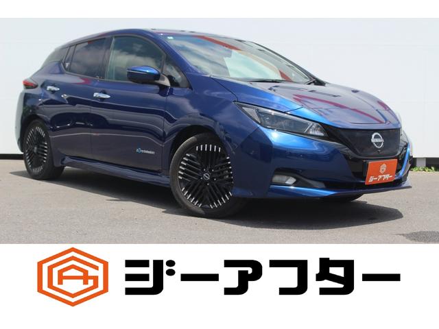 Nissan Leaf, dovoz Japonsko — foto 1 Nissan Leaf, dovoz Japonsko — foto 1
