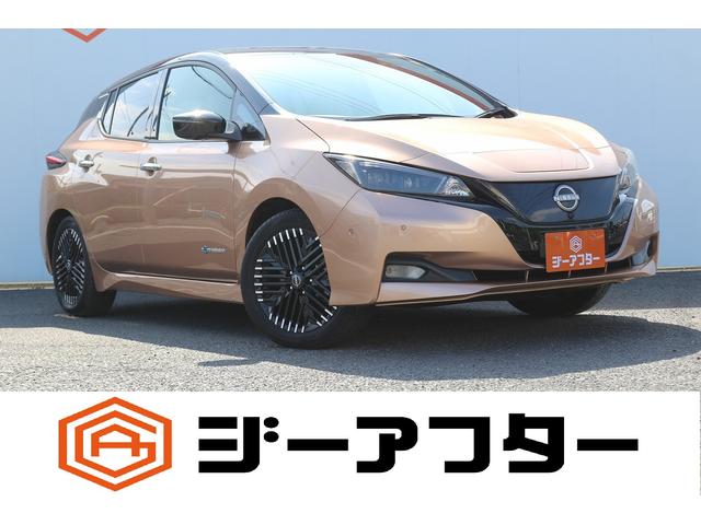 Nissan Leaf, dovoz Japonsko — foto 1 Nissan Leaf, dovoz Japonsko — foto 1