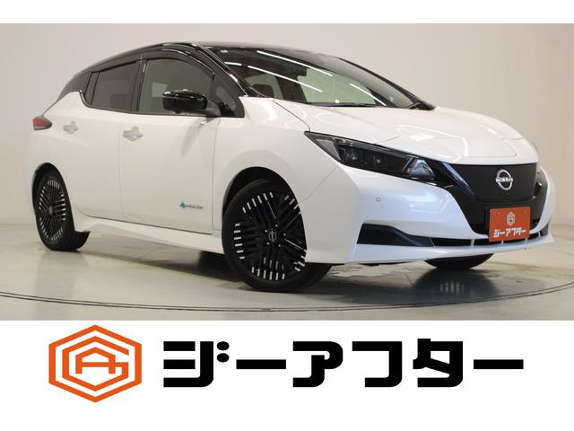 Nissan Leaf, dovoz Japonsko — foto 1