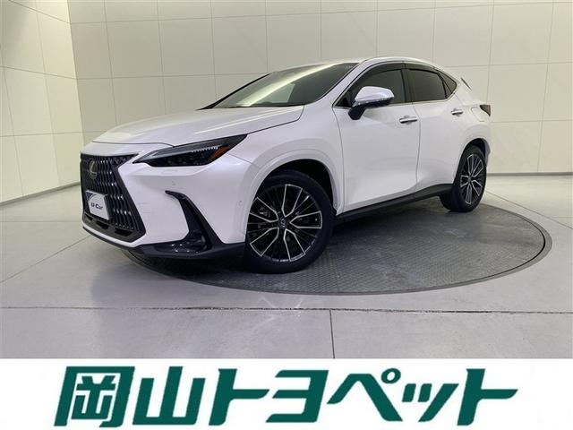Lexus Nx, dovoz Japonsko — foto 1