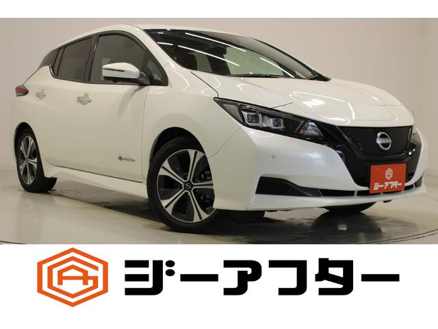 Nissan Leaf, dovoz Japonsko — foto 1 Nissan Leaf, dovoz Japonsko — foto 1