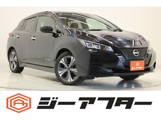 Nissan Leaf, dovoz Japonsko — foto 1 Nissan Leaf, dovoz Japonsko — foto 1