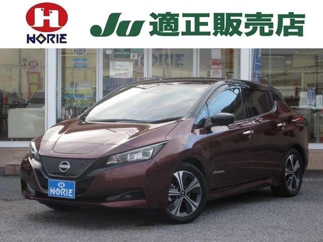 Nissan Leaf, dovoz Japonsko — foto 1
