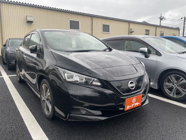 Nissan Leaf, dovoz Japonsko — foto 1 Nissan Leaf, dovoz Japonsko — foto 1