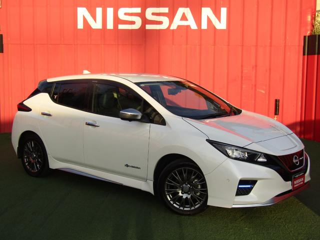Nissan Leaf, dovoz Japonsko — foto 1 Nissan Leaf, dovoz Japonsko — foto 1