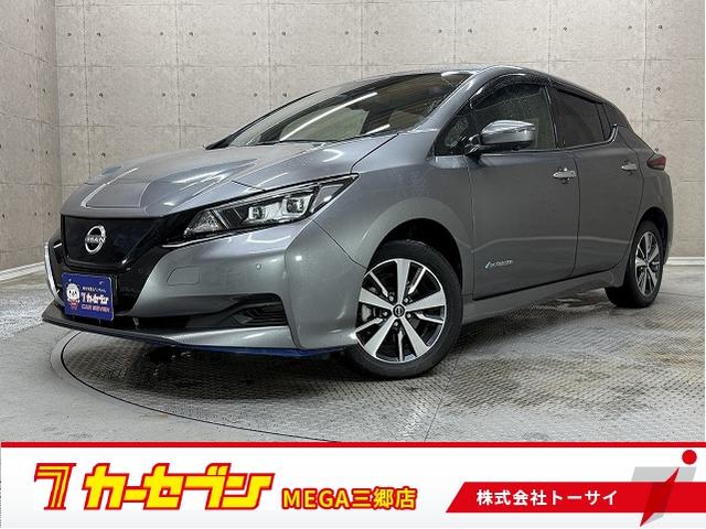 Nissan Leaf, dovoz Japonsko — foto 1 Nissan Leaf, dovoz Japonsko — foto 1