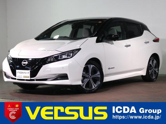 Nissan Leaf, dovoz Japonsko — foto 1