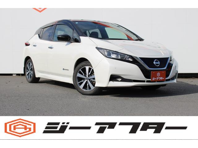 Nissan Leaf, dovoz Japonsko — foto 1 Nissan Leaf, dovoz Japonsko — foto 1
