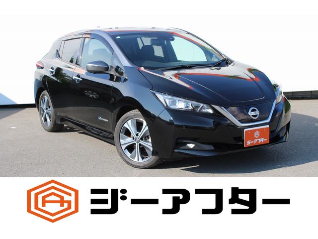 Nissan Leaf, dovoz Japonsko — foto 1 Nissan Leaf, dovoz Japonsko — foto 1