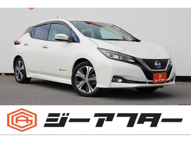 Nissan Leaf, dovoz Japonsko — foto 1 Nissan Leaf, dovoz Japonsko — foto 1
