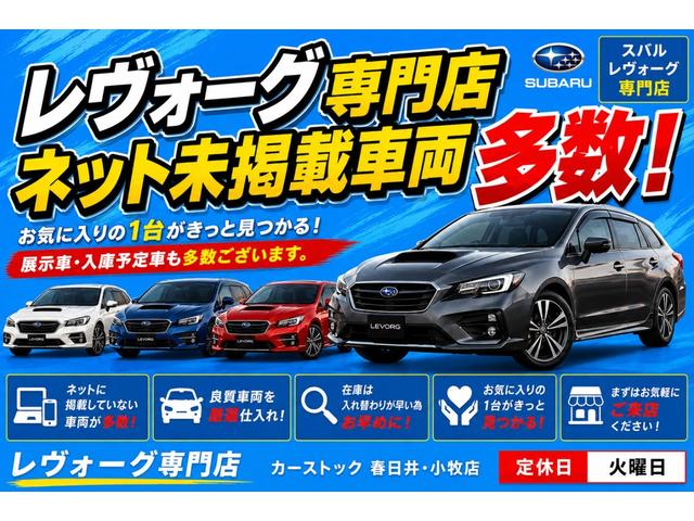 Subaru Levorg, dovoz Japonsko — foto 3 z 40