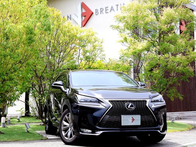 Lexus Nx, dovoz Japonsko — foto 1 | AMECAR Lexus Nx, dovoz Japonsko — foto 1