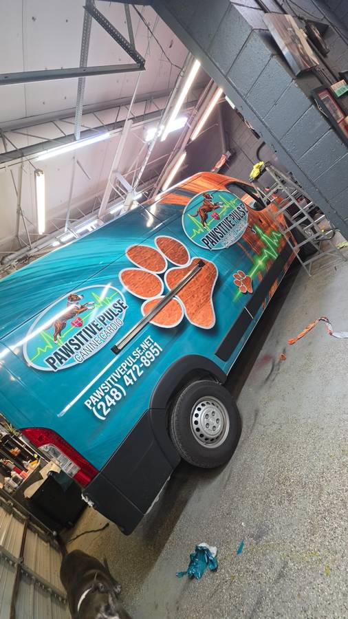Vinyl wraps, dovoz USA — foto 1