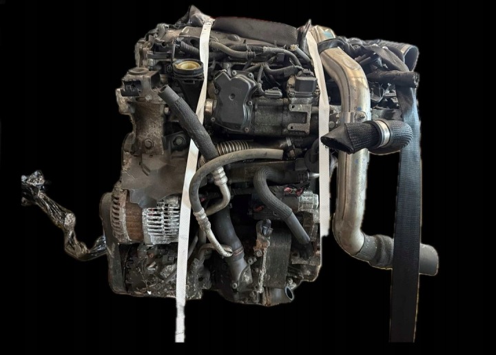 motor Renault Laguna Iii 2.0 Dci M9r814, Skladom v EÚ — foto 1