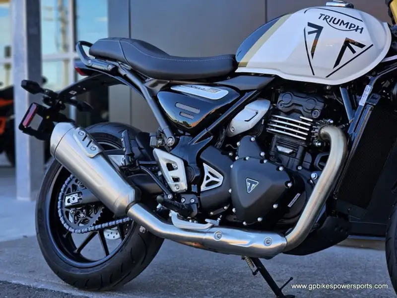 2026 Triumph Unspecified Desert, biela, 0 km, dovoz Kanada — foto 11 z 12