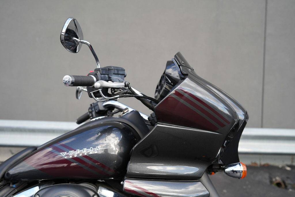 2021 Kawasaki, dovoz USA — foto 6 z 12