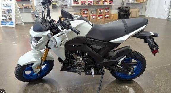 2026 Kawasaki, dovoz USA — foto 4 z 4