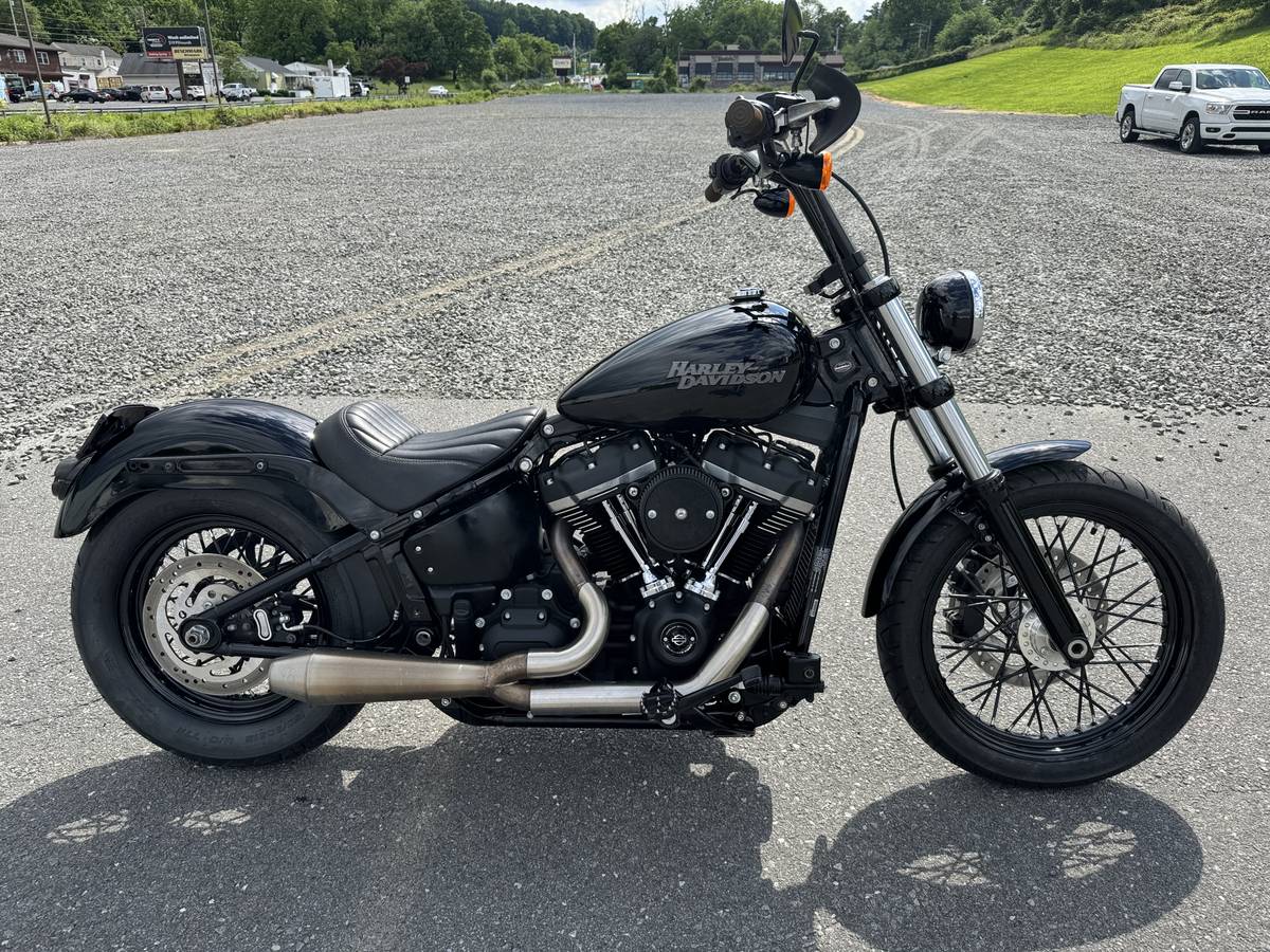 Harley-Davidson, dovoz USA — foto 11 z 12