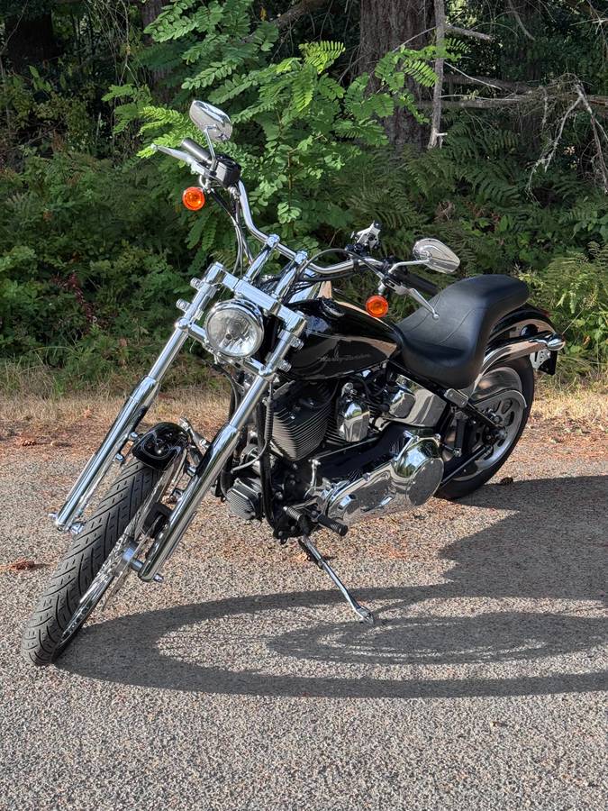 2005 Harley-Davidson, dovoz USA — foto 2 z 9