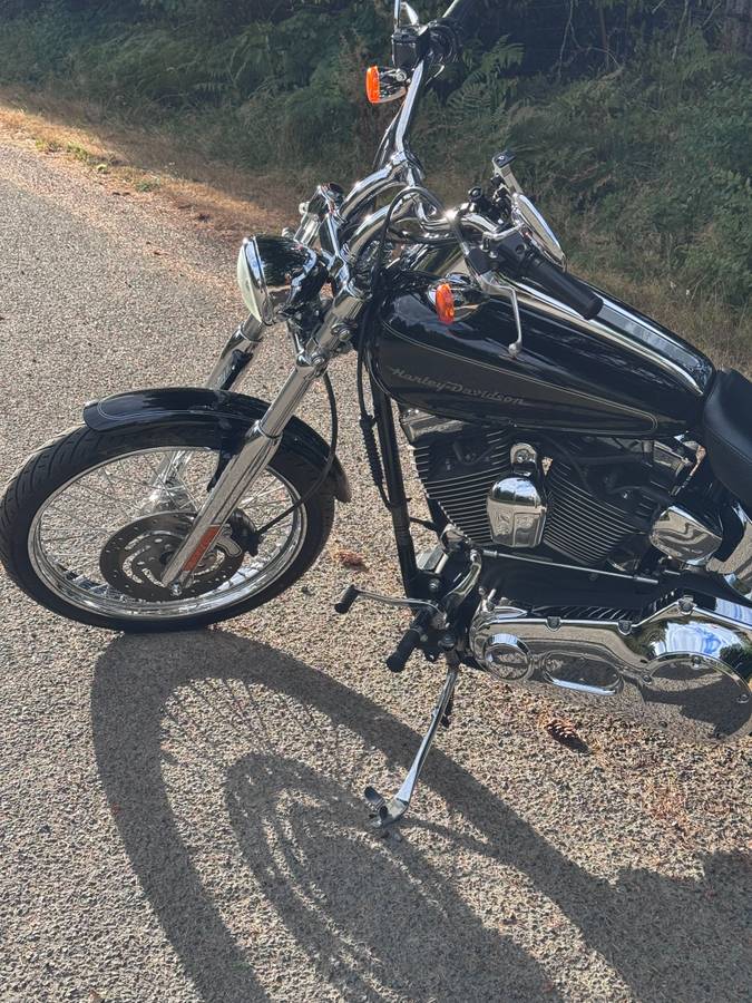 2005 Harley-Davidson, dovoz USA — foto 5 z 9