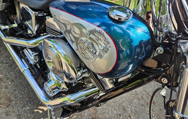 2004 Harley-Davidson, dovoz USA — foto 4 z 4