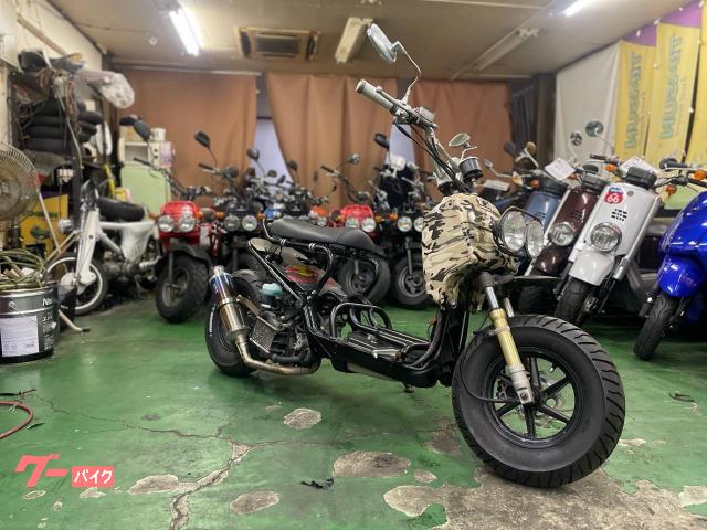 Honda Zoomer, 13 766 km, dovoz Japonsko — foto 1 | AMECAR Honda Zoomer, 13 766 km, dovoz Japonsko — foto 1