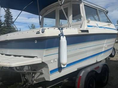 Bayliner, dovoz USA — foto 2 z 8