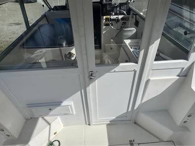 Bayliner, dovoz USA — foto 4 z 8