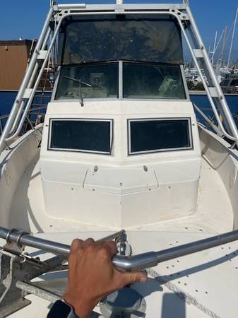 Grady-White, biela, dovoz USA — foto 2 z 11
