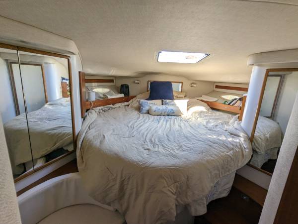 Sea Ray, dovoz USA — foto 5 z 12